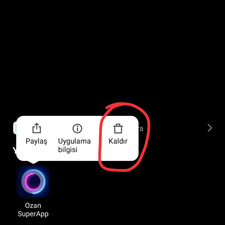 Ozanapp'da Paranız Tehlikede: Cevapsız Mailler Ve Eksik İade
