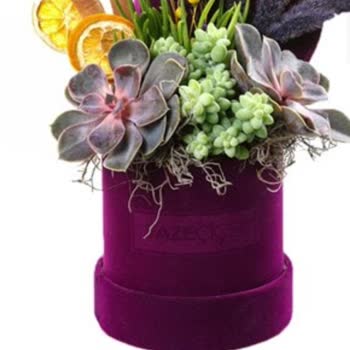 Siparişim Eksik Gönderildi Üstüne Özür Bile Dilenmedi