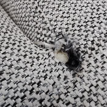 Trento Koltuk Takımında Kumaş Ve Mekanizma Sorunları Mağduriyet Yaşatıyor