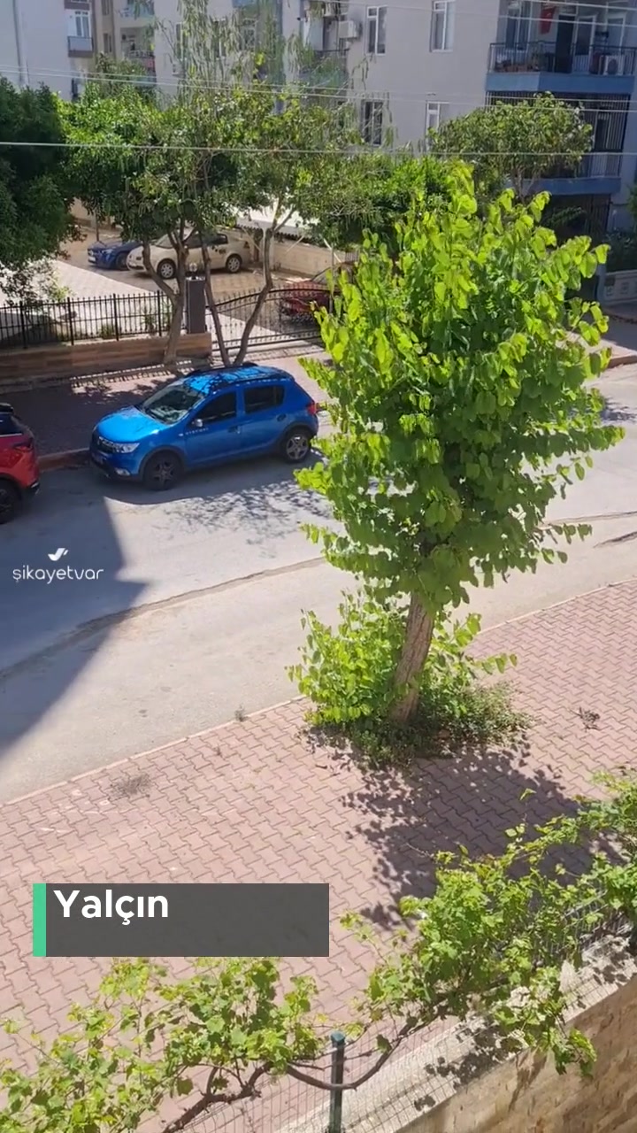 Antalya Konyaaltı Belediyesi 345 Sokak Yolu videonun kapak resmi