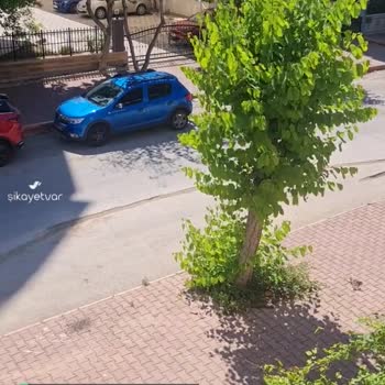 Antalya Konyaaltı Belediyesi 345 Sokak Yolu