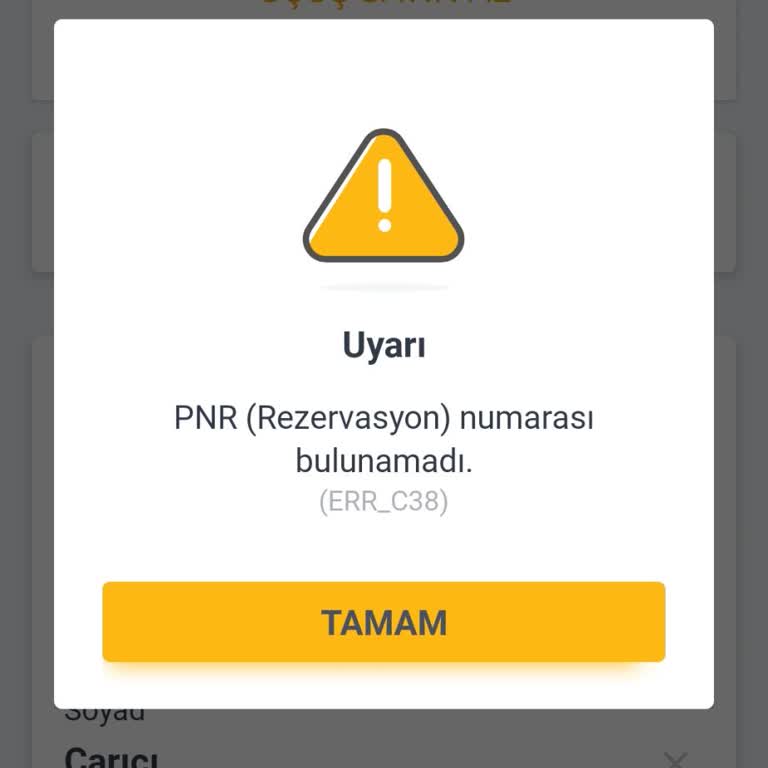 Pegasus PNR Kodum Bulunamıyor Uçuşum Görünmüyor Endişesi