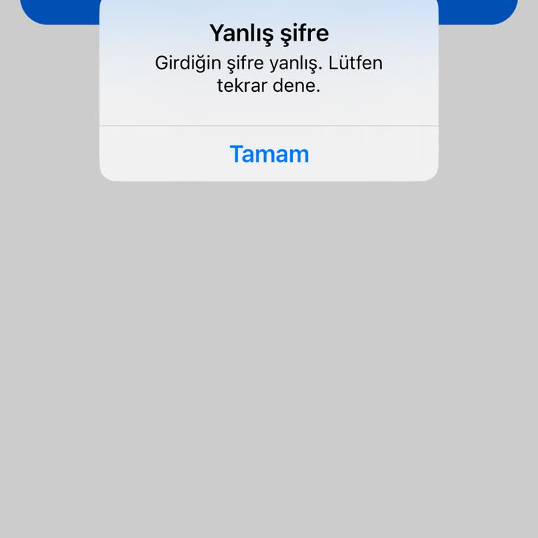 Instagram Hesabım Uygulamada Yanlış Şifre Hatasıyla Açılmıyor