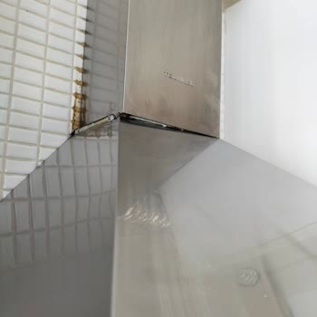 Ev Temizliği Hizmetinde Memnuniyetsizlik Ve Olumsuz Davranışlar