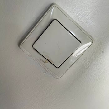 Ev Temizliği Hizmetinde Memnuniyetsizlik Ve Olumsuz Davranışlar