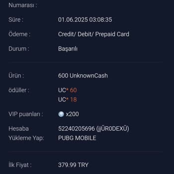 Ödeme Alındı Fakat UC Hesabıma Yüklenmedi, Çözüm Bekliyorum