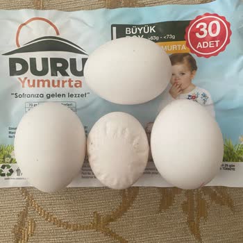 Büyük Boy Yumurta Kutusundan Küçük Yumurtalar Çıkıyor