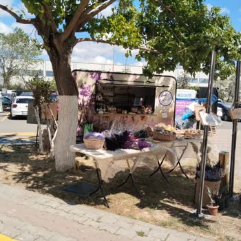 Engelli Park Yerine Stand Açılması Mağduriyet Yaratıyor