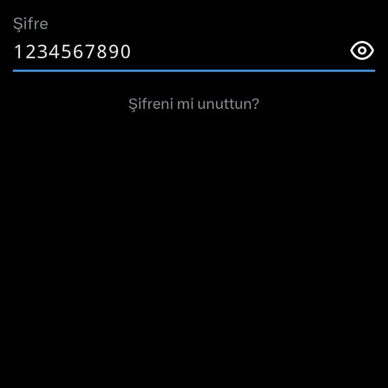 Satın Aldığım Hesaplara Erişemiyorum Param İade Edilmiyor