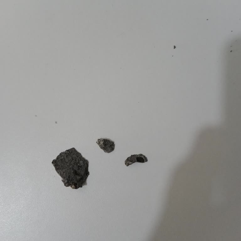 Bosch Çamaşır Makinesinde Taş Parçalanması Ve Aşırı Sarsıntı Sorunu