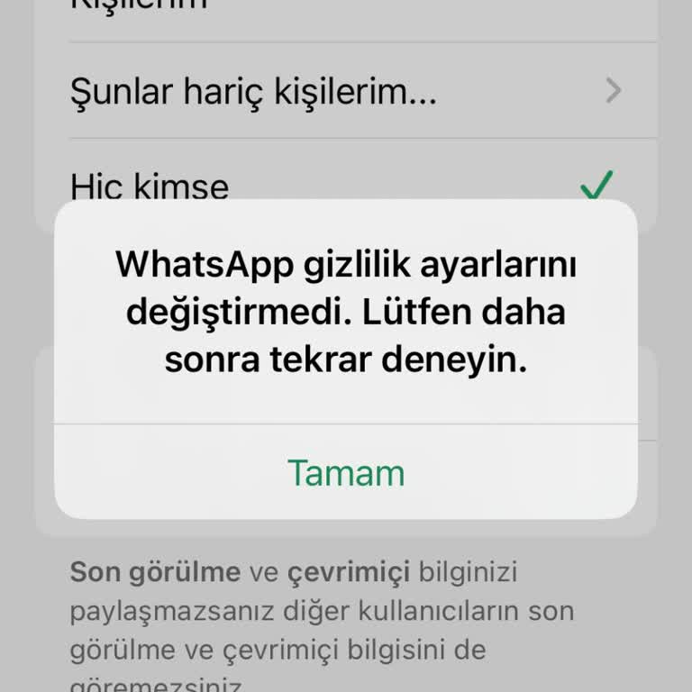 WhatsApp Son Görülme Hatası Çözülmüyor