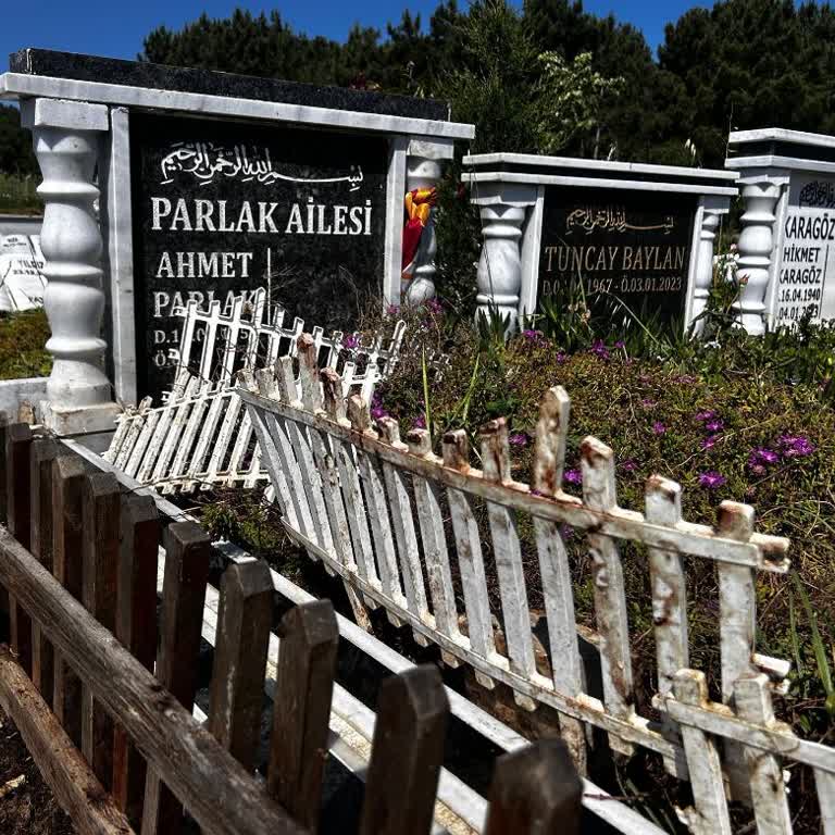 Mezarlıkta Güvenlik Sorunu Ve Hayvan Saldırıları Nedeniyle Ziyaret Zorluğu