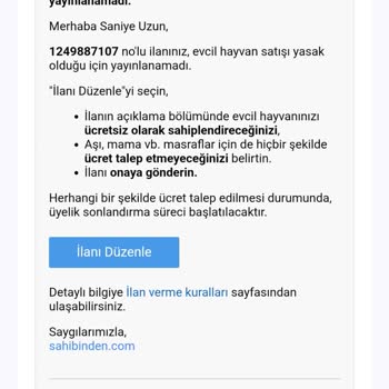 Ücretsiz Kedi İlanına Haksız Satış Uyarısı!