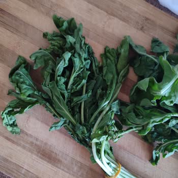 Taze Olmayan Ürün Ve Sürekli Sorunlu Siparişler: Müşteri Memnuniyetsizliği Artıyor