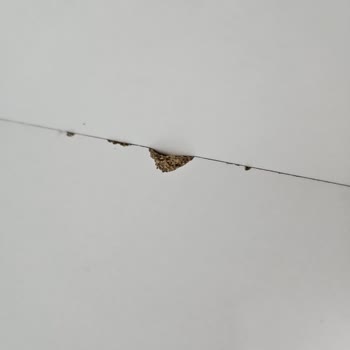 Evidea.com'dan Aldığım Dolap Defolu Ve Eksik Parçalarla Geldi