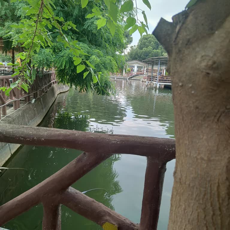 Nazilli'deki Park ve Hayvanat Bahçesi Durumu Hakkında Şikayet