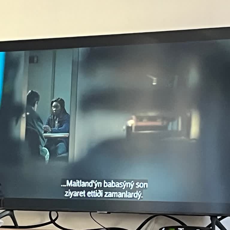 Max Uygulamasında Çeviri Sorunu Ve İzleme Deneyimi Problemi