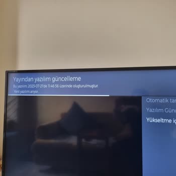 Vestel TV'de Güncelleme Ve Performans Sorunları Çözülmüyor