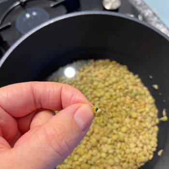 Mercimekten Böcek Çıkması Hayal Kırıklığı Yarattı