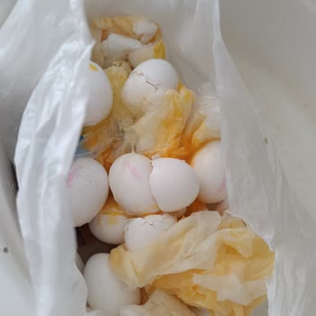 İndirimli Satılan Yumurtalar Bozuk Ve Kötü Kokulu Çıktı