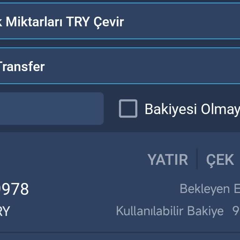 Bitexen Borsasında Pi Coin Delist Edildi, Mağduriyetim Giderilmiyor