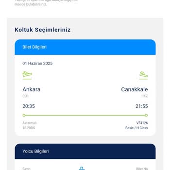 Engelli Yolcuya Tekerlekli Sandalye Verilmemesi Mağduriyet Yaşattı