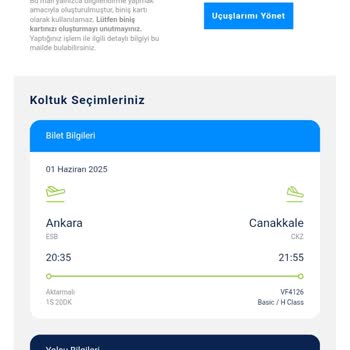Engelli Yolcuya Tekerlekli Sandalye Verilmemesi Mağduriyet Yaşattı
