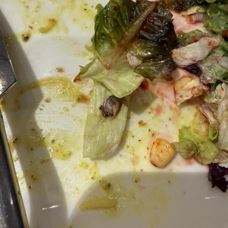 Salatadan Çürük Malzeme Ve Salyangoz Çıkması, Personelin İlgisizliği