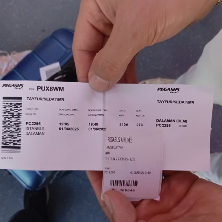 Kabin Bagajı İçin Beklenmedik Ek Ücret Şoku