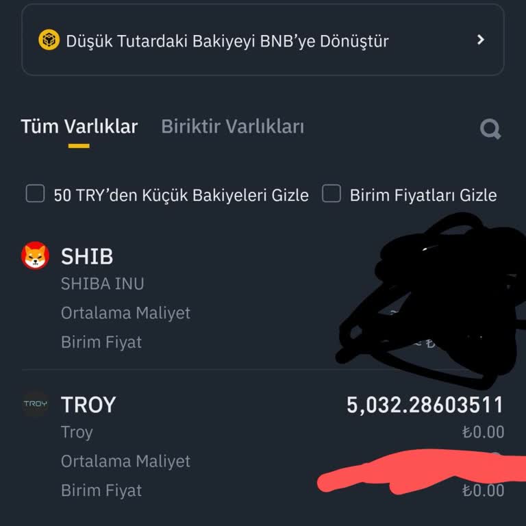 Troy Hesabım Aniden Kapandı, Mağdurum Ve Destek Alamıyorum