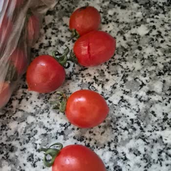 Getir'den Bozuk Domates Ve Yanlış Paketleme Deneyimi