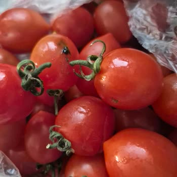 Getir'den Bozuk Domates Ve Yanlış Paketleme Deneyimi