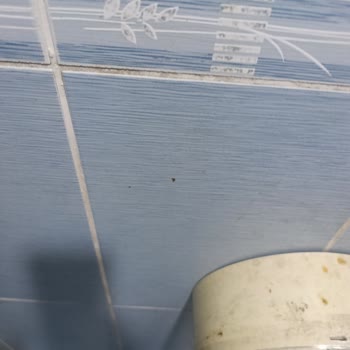 Koç Petrol Antalya Kepez Şubesinde Hijyen Sorunu Ve Personel İlgisizliği