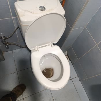 Koç Petrol Antalya Kepez Şubesinde Hijyen Sorunu Ve Personel İlgisizliği