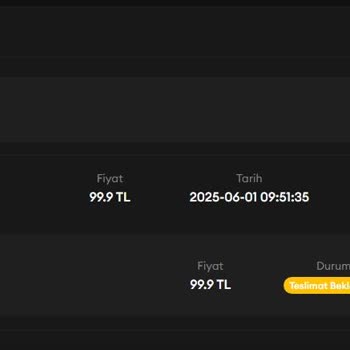 Satın Alınan VP Kodları Teslim Edilmedi Ve Destek Yetersizliği