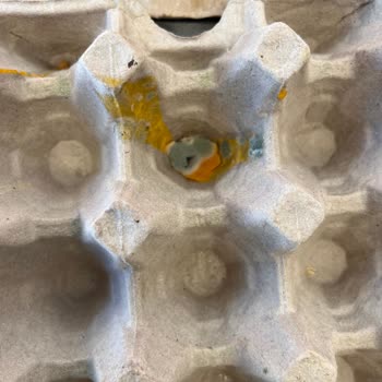 Küflü Yumurtalar Ve Yetersiz Müşteri Hizmeti