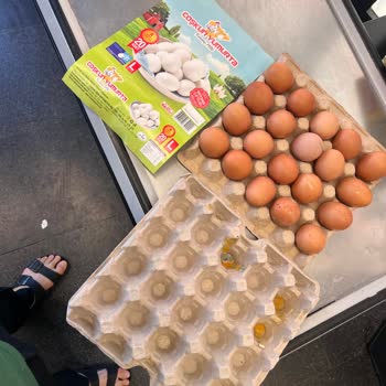 Küflü Yumurtalar Ve Yetersiz Müşteri Hizmeti