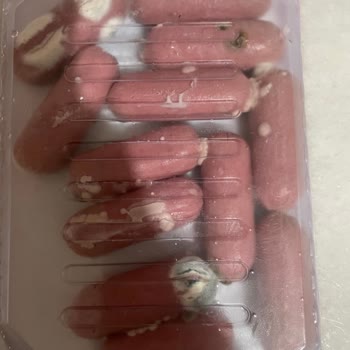 Küflü Sosis Şoku: Sağlığımız Tehlikede!