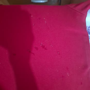 Arızalı Ütü Ve Yetersiz Servis Desteği Mağduriyetimi Artırıyor