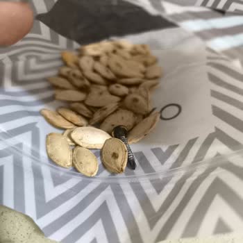 Kuruyemiş Paketinde Paslı Çivi Şoku