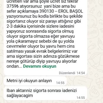 Kedi Sahiplendirme Vaadiyle Yaşadığım Güven Sarsıcı Mağduriyet
