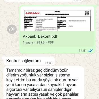 Kedi Sahiplendirme Vaadiyle Yaşadığım Güven Sarsıcı Mağduriyet