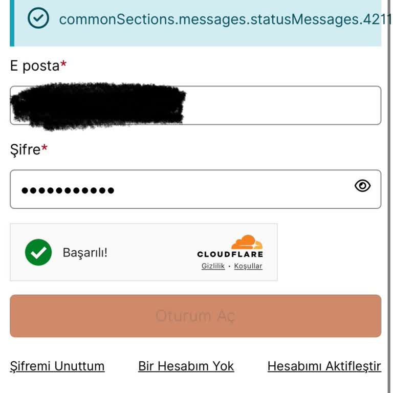 VFS Fransa Vize Randevu Sisteminde 4211 Hatası Ve SMS Sorunu