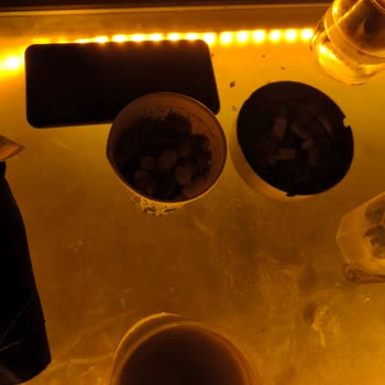 Atlantique Holiday Club Yabancılara Yapılan Ayrıcalık