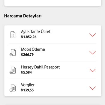 Yurt Dışı Kullanımı Olmadan Yüksek Fatura Şoku
