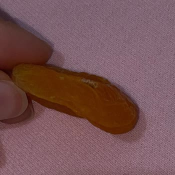 Kuru Kayısıda Böcek Çıkması Ve Hijyen Sorunu