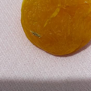 Kuru Kayısıda Böcek Çıkması Ve Hijyen Sorunu