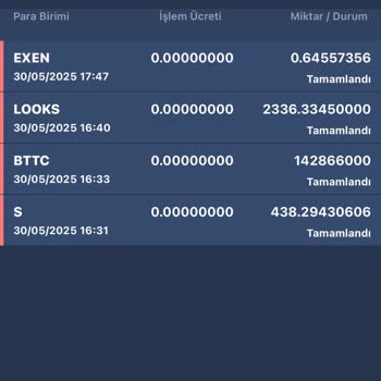 Bitexen Hesabımdaki Kripto Varlıklarım Aniden Kayboldu
