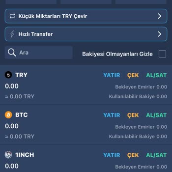 Bitexen Hesabımdaki Kripto Varlıklarım Aniden Kayboldu