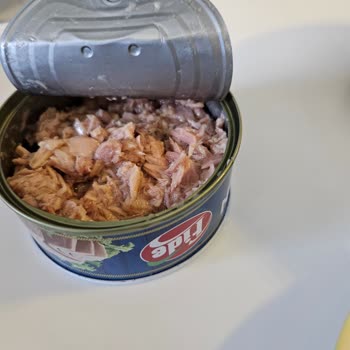 Fide Ton Balığı Bütün Parça Yerine Dağılmış Çıktı, Hayal Kırıklığı Yaşadım